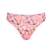 No body pictures | Primadonna