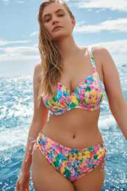 Catalog | Primadonna