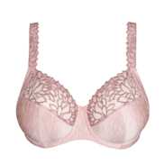 No body pictures | Primadonna