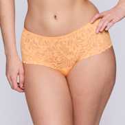 Packshot | Primadonna