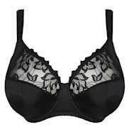 No body pictures | Primadonna