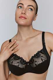 Catalog | Primadonna