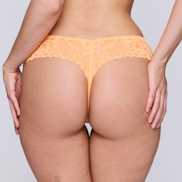 Packshot | Primadonna