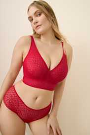 Catalog | Primadonna