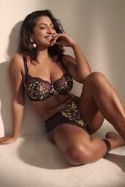 Catalog | Primadonna