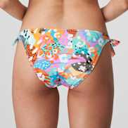 Packshot | Primadonna