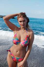 Catalog | Primadonna