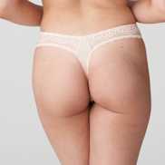 Packshot | Primadonna