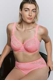 Catalog | Primadonna