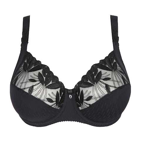 No body pictures | Primadonna