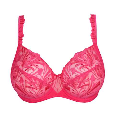 No body pictures | Primadonna