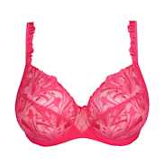 No body pictures | Primadonna