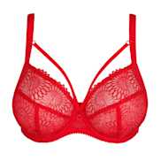 No body pictures | Primadonna