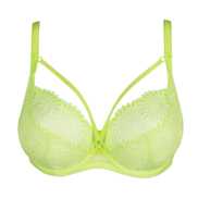 No body pictures | Primadonna