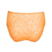 No body pictures | Primadonna