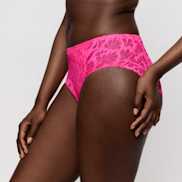 Packshot | Primadonna