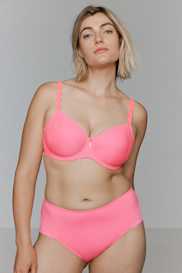Catalog | Primadonna