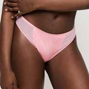 Packshot | Primadonna