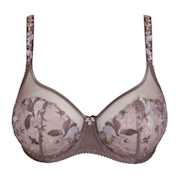 No body pictures | Primadonna