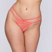 Packshot | Primadonna