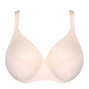 No body pictures | Primadonna