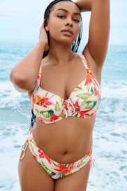 Catalog | Primadonna