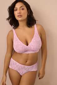 Catalog | Primadonna