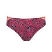 No body pictures | Primadonna