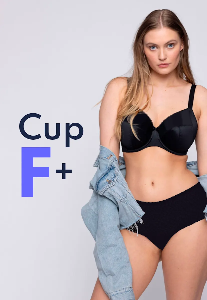 PrimaDonna Lingerie and swimwear