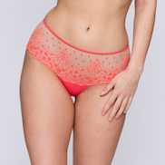 Packshot | Primadonna