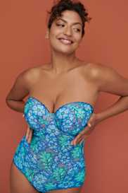 Catalog | Primadonna