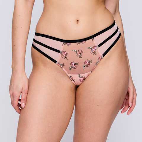 Packshot | Primadonna