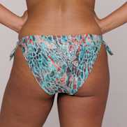 Packshot | Primadonna