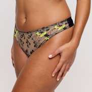 Packshot | Primadonna