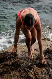 Catalog | Primadonna