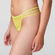 Packshot | Primadonna