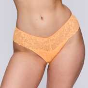 Packshot | Primadonna