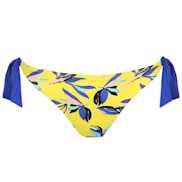 No body pictures | Primadonna