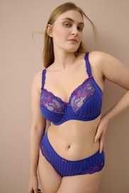 Catalog | Primadonna