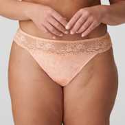 Packshot | Primadonna