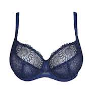 No body pictures | Primadonna