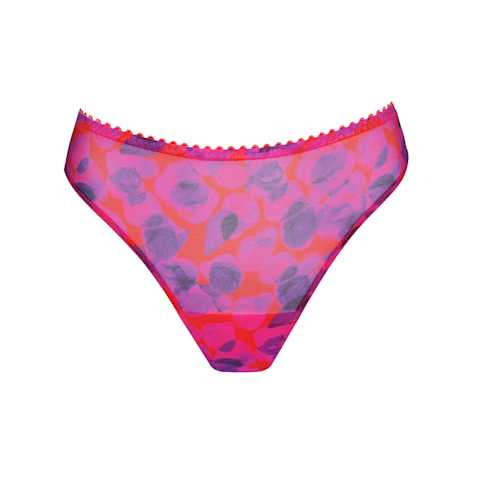 No body pictures | Primadonna