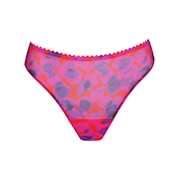 No body pictures | Primadonna