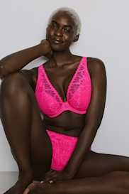 Catalog | Primadonna