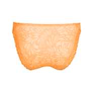 No body pictures | Primadonna