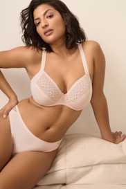 Catalog | Primadonna