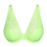 No body pictures | Primadonna