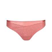 No body pictures | Primadonna