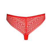 No body pictures | Primadonna