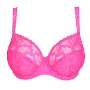 No body pictures | Primadonna